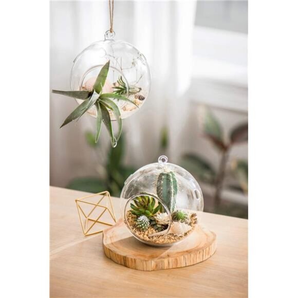 Mkono 2 Pack Glass Hanging Planter Air Fern Holder Terrarium Plants Hanger Vase - Picture 7 of 8